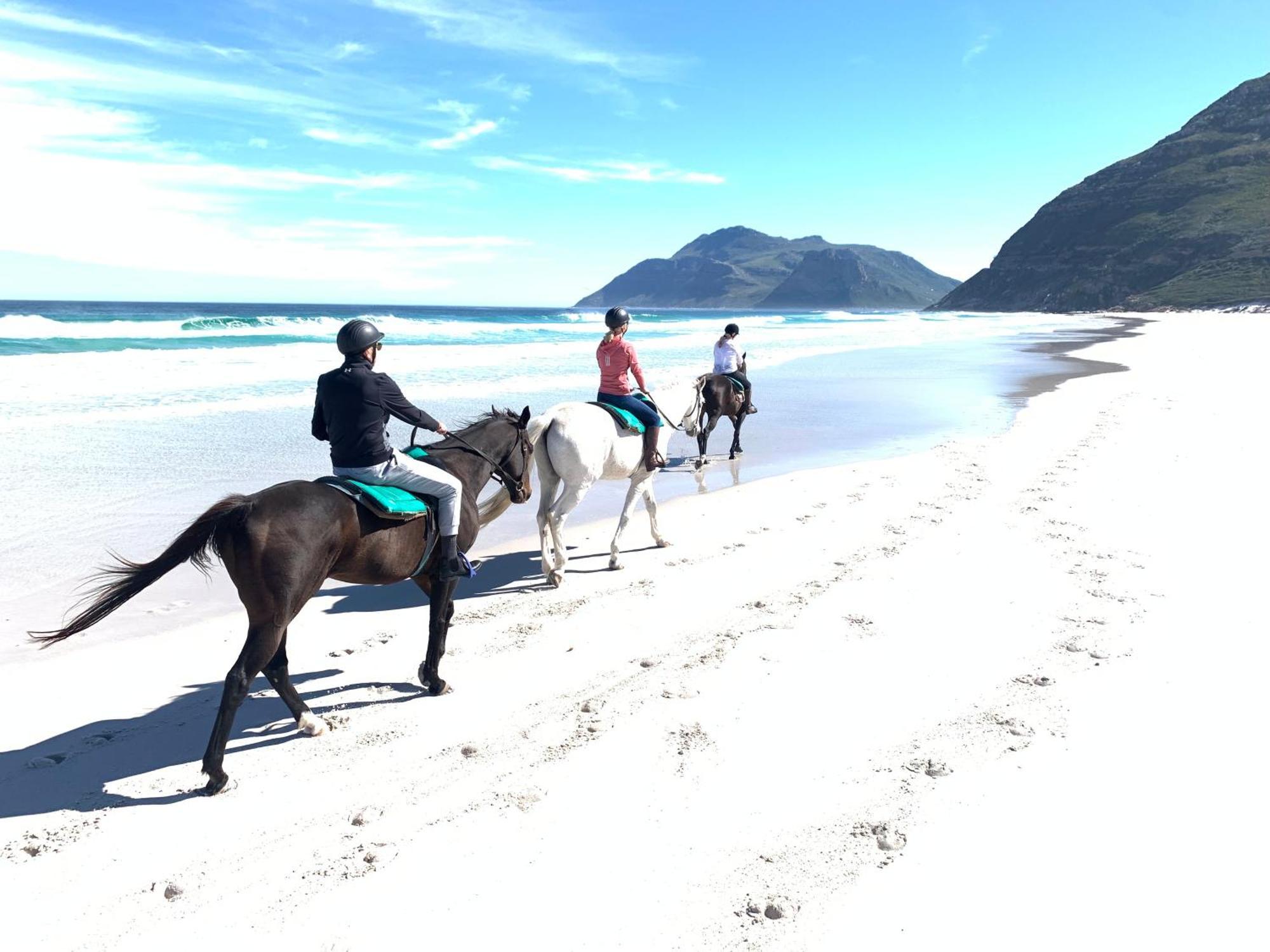 Chapmans Peak Noordhoek Cape Town. * Cape Town